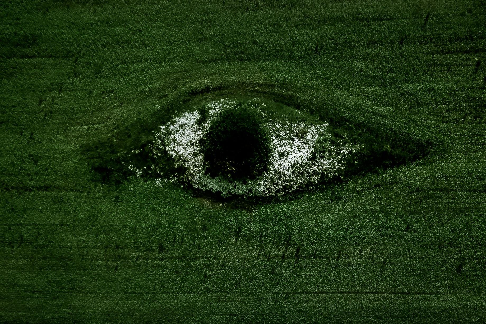 聚氨酯泡沫:從開創性材料到閉環回收的現代挑戰