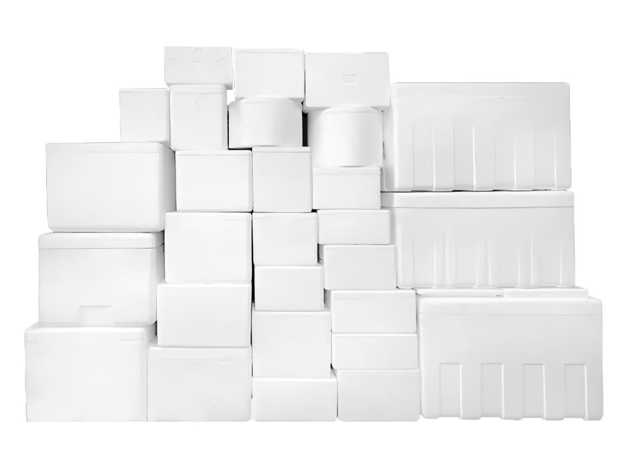 務實選擇:歐盟海鮮包裝轉型與EPS回收路徑